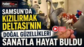 Samsun'da Kızılırmak Deltası'nın Doğal Güzellikleri Sanatla Hayat Buldu-donusturuldugu-kaynak-png