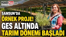 Samsun’da Örnek Proje GES Altında Tarım Dönemi Başladı-donusturuldugu-kaynak-png