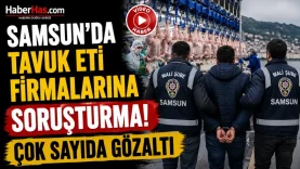 Samsun’da Tavuk Eti Firmalarına Soruşturma! Çok Sayıda Gözaltı-donusturuldugu-kaynak-png