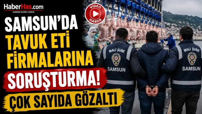 Samsun’da Tavuk Eti Firmalarına Soruşturma! Çok Sayıda Gözaltı-donusturuldugu-kaynak-png