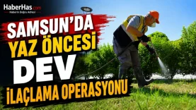 Samsun'da Yaz Öncesi Dev İlaçlama Operasyonu-donusturuldugu-kaynak-png