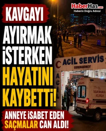 Kavgayı Ayırmak İsterken Hayatını Kaybetti! Anneye İsabet Eden Saçmalar Can Aldı