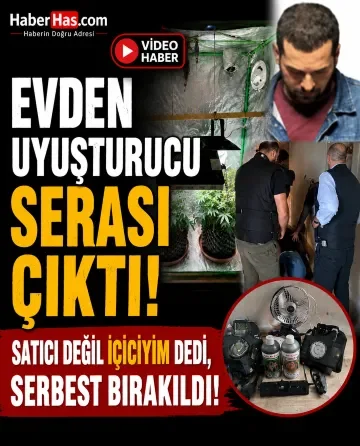 Evden Uyuşturucu Serası Çıktı: Satıcı Değil İçiciyim Dedi, Serbest Bırakıldı
