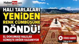 Halı Tarlaları Yeniden Renk Cümbüşüne Döndü! El Dokuması Halılar Güneşte Değer Kazanıyor-donusturuldugu-kaynak-png
