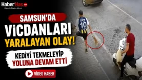 Samsun'da Vicdanları Yaralayan Olay! Kediyi Tekmeleyip Yoluna Devam Etti-donusturuldugu-kaynak-png