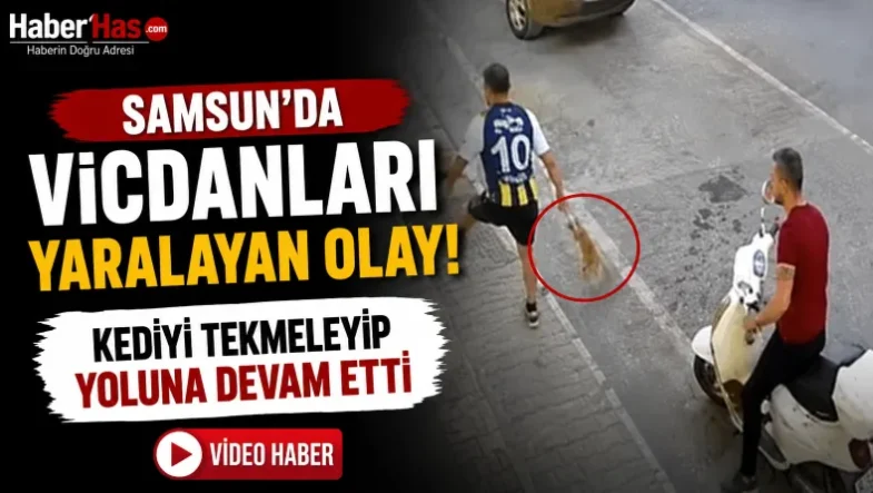 Samsun'da Vicdanları Yaralayan Olay! Kediyi Tekmeleyip Yoluna Devam Etti-donusturuldugu-kaynak-png