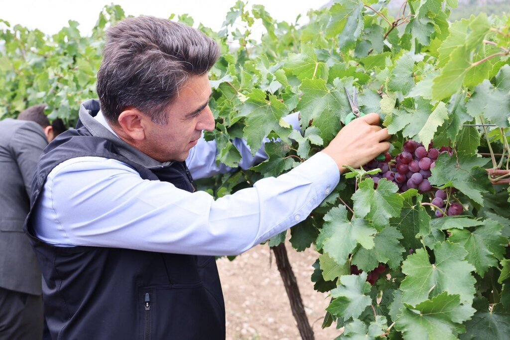 28082024154029 23309 94999