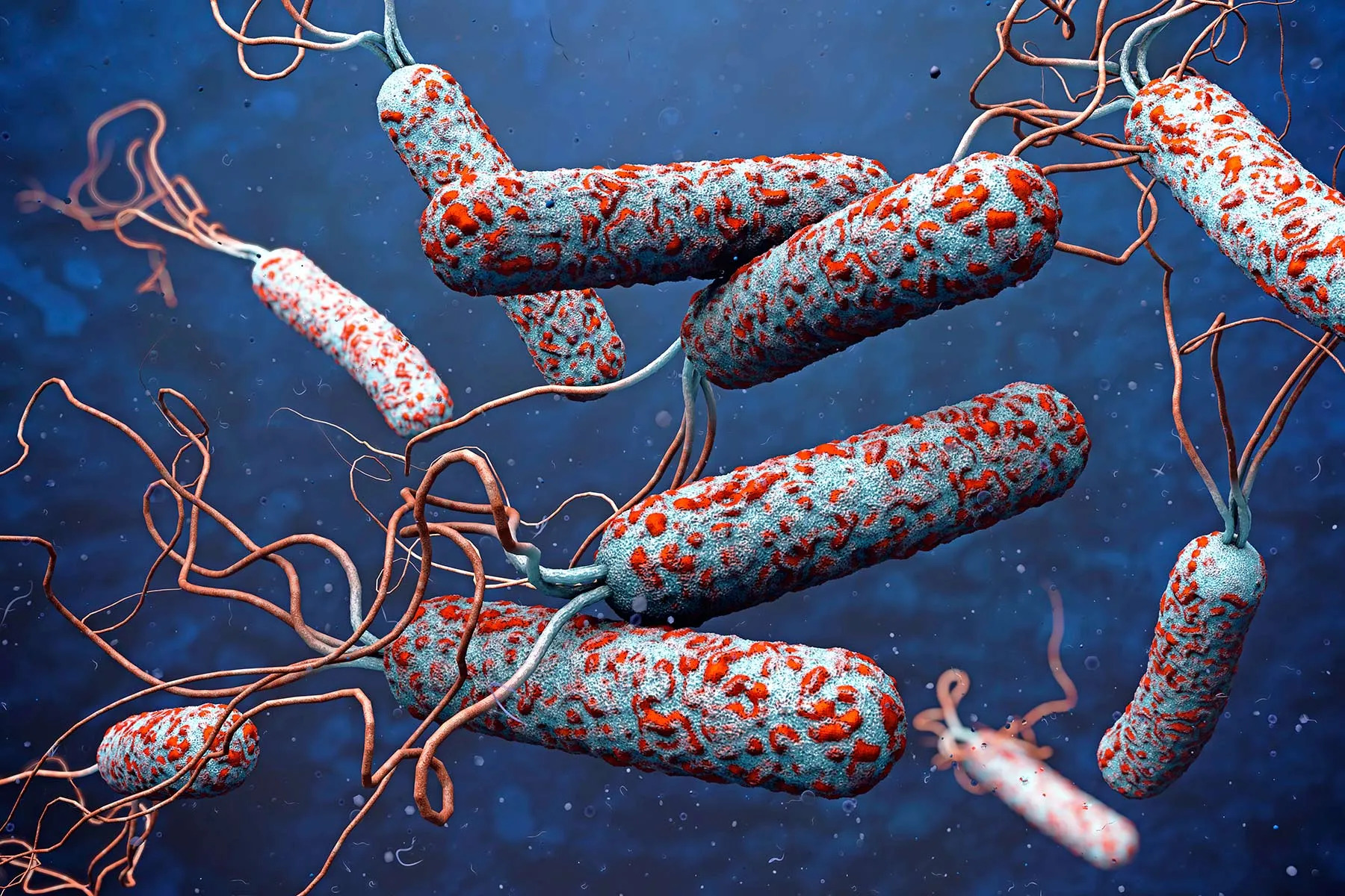 31 ULKEDE KOLERA ALARMI 890616 264526