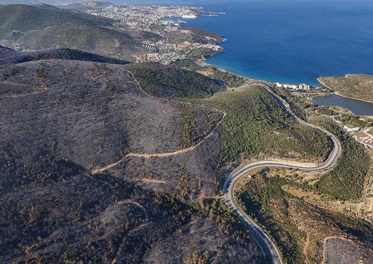 Çeşme’deki orman yangınında 3 kişi hayatını kaybetti