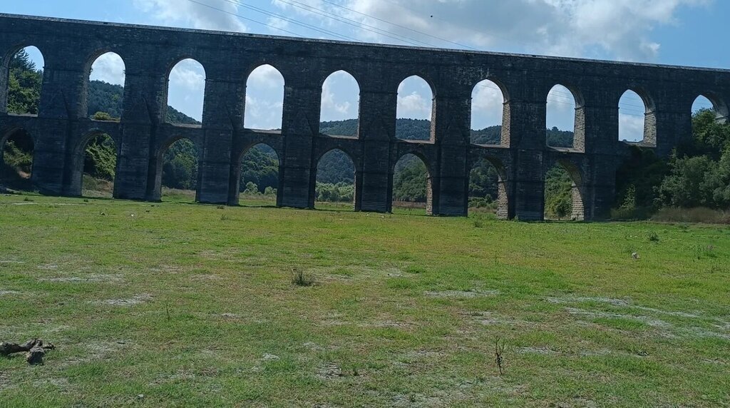 450877668 10228207418463786 6975939092478107370 n e1723313272888