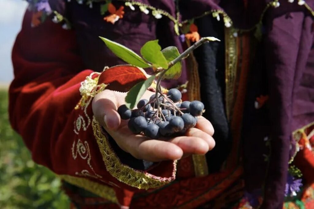 460569776 1099394644876022 9116711428228008140 n