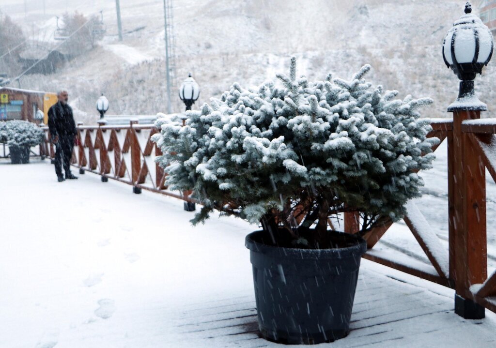 463826173 1130619482396826 7192110518477906709 n