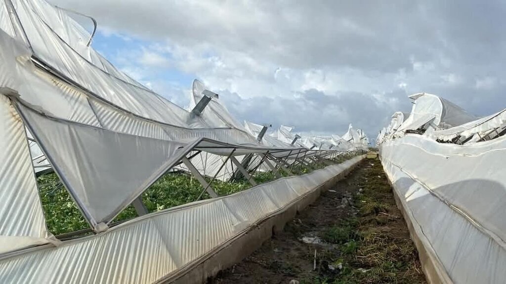 468083270 10231182117948718 5827960420444384149 n