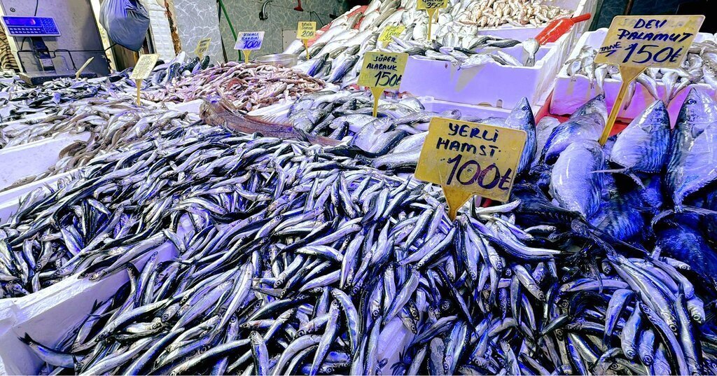 470522089 1190156056443168 373954831167824387 n