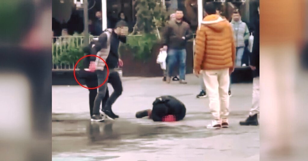 472178227 1194773025981471 6772568430646257444 n