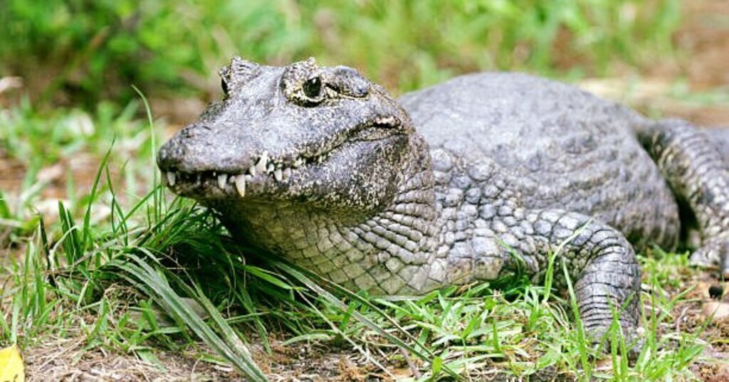 472391201 1194567626002011 8120322696107339660 n