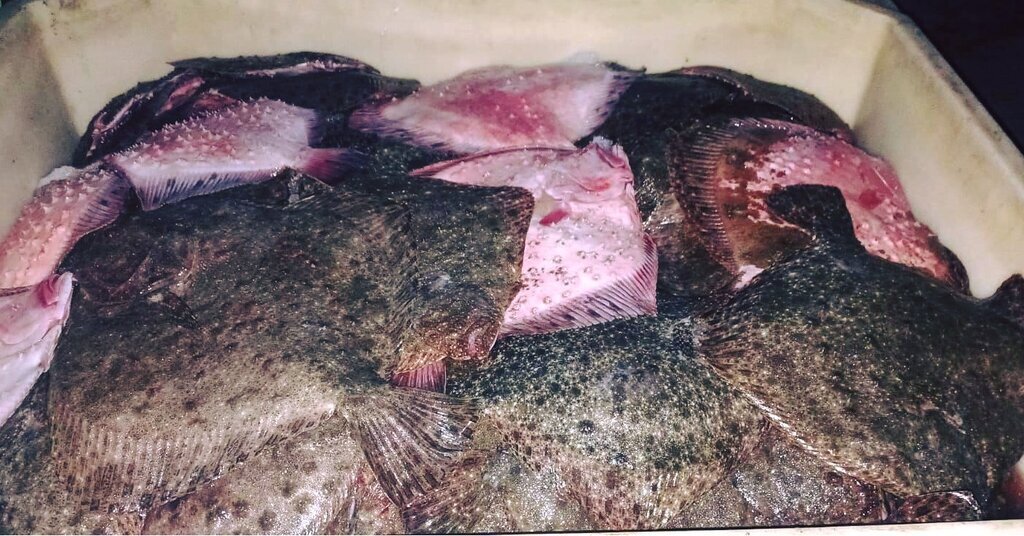 472558635 1194716002653840 5043707121801445731 n