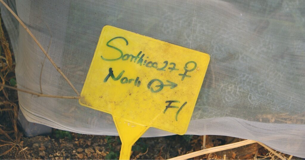 472559969 1194733645985409 1214650478456560663 n