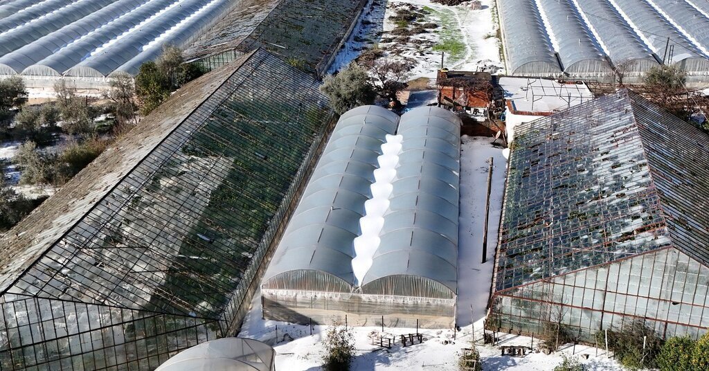 474653726 1208284504630323 1082568698698017390 n