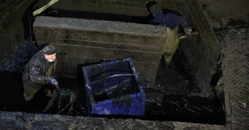 476343825 1219913380134102 2292786307779128728 n