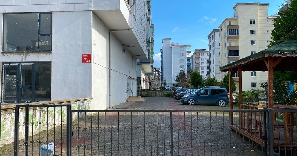 476410744 1219851206806986 2480480489408339454 n