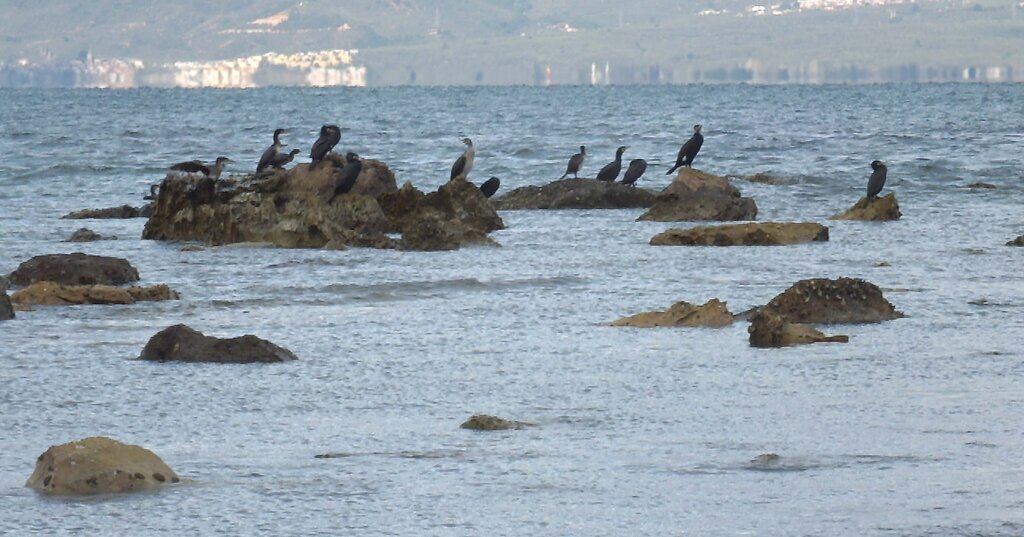 476847689 1222143653244408 7229909417849326585 n