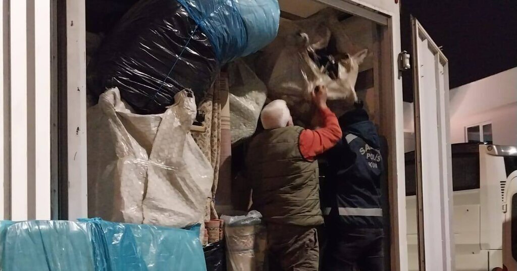 477953935 1222319136560193 294069763421495722 n