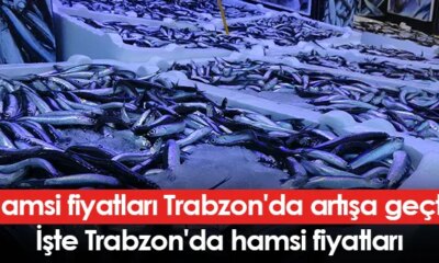 Hamsi fiyatları Trabzon’da artışa geçti! İşte Trabzon’da hamsi fiyatları