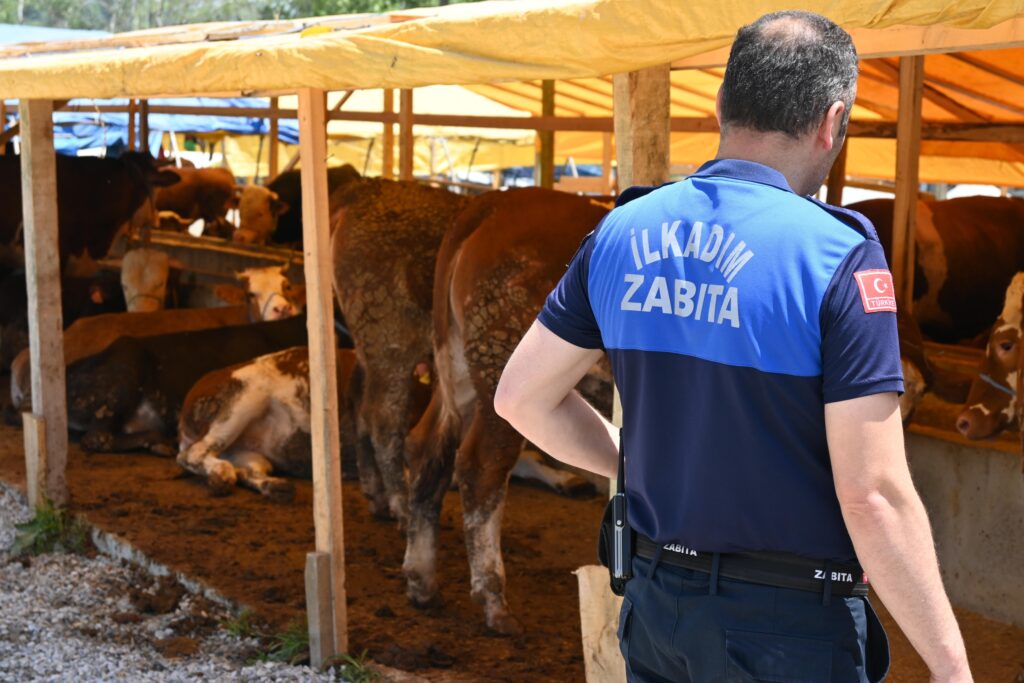 İlkadım Belediye zabıtası kurban denetimlerini arttırdı