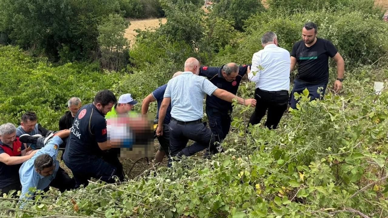 524330905 122115563114939472 8915018481511057607 n