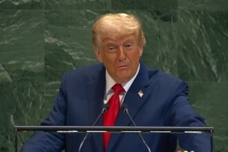 551117323 1423842686407836 7938041749902827213 n