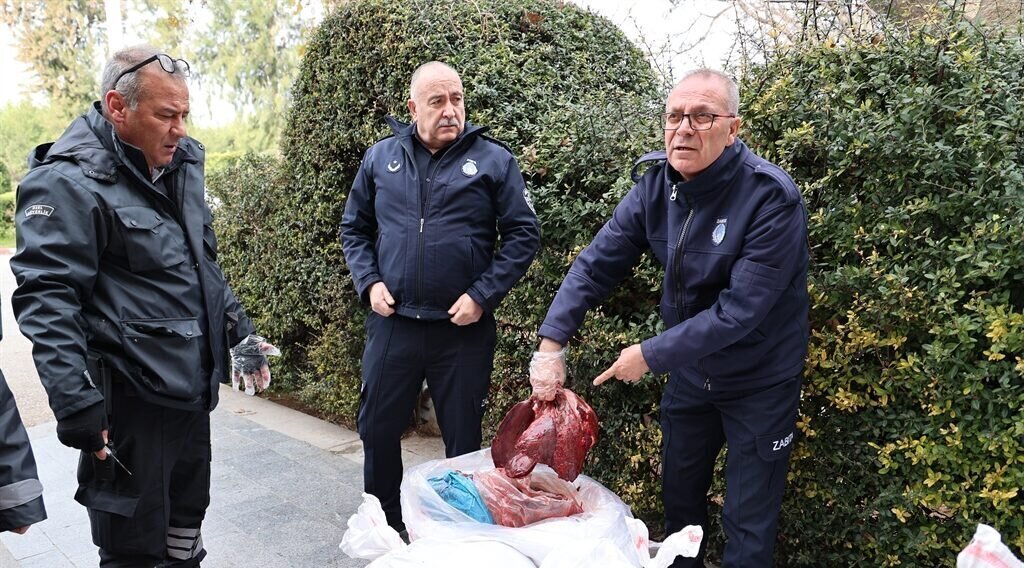 588780 e1740746928825