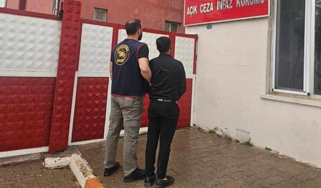 698218 e1746604137825