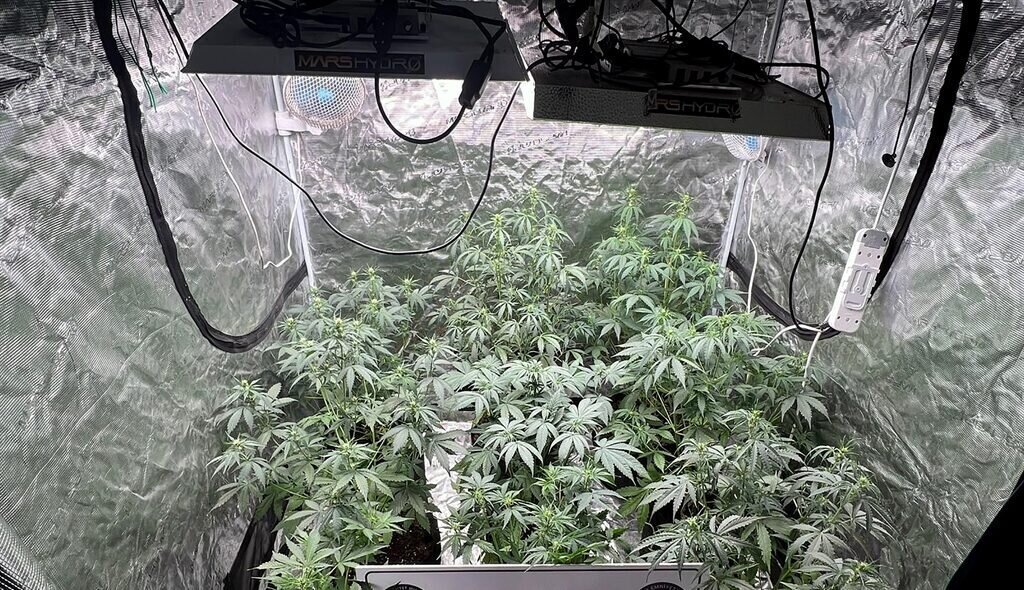 725827 e1747897841595