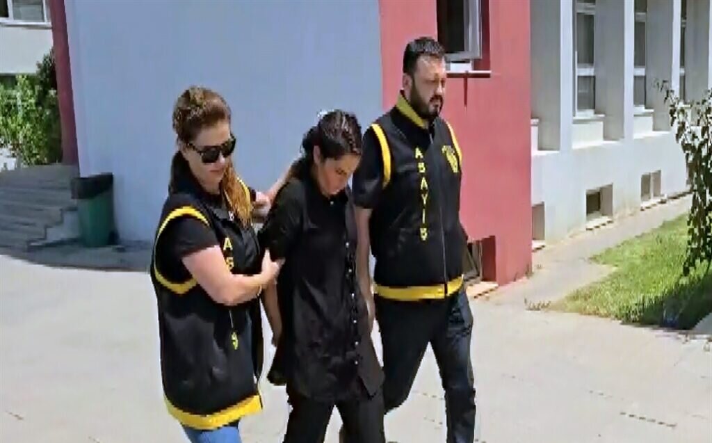 734605 e1748345537490