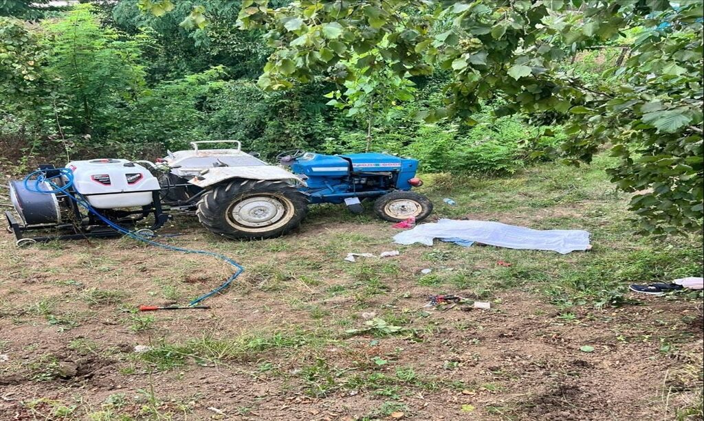 818459 e1752661849786