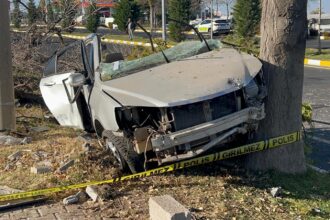 AGACA CARPAN OTOMOBIL IKIYE BOLUNDU 2 O 1006204 298522