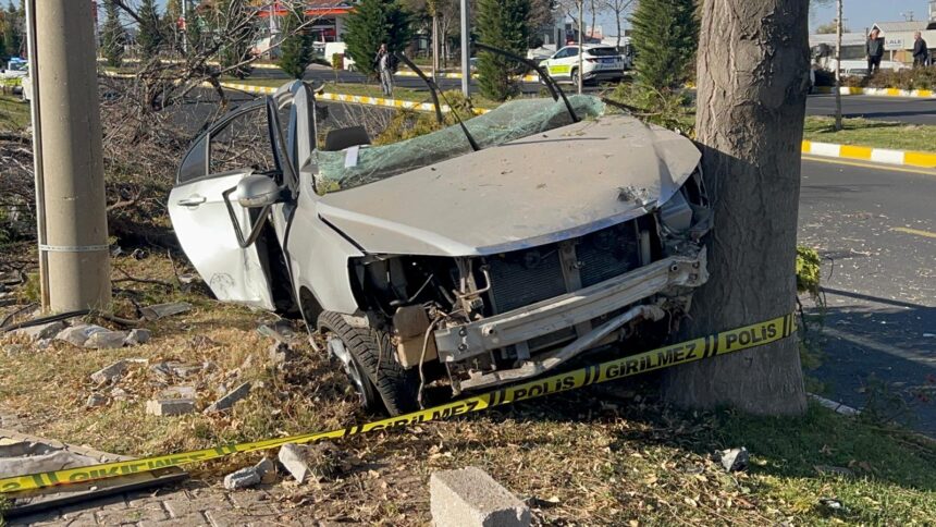 AGACA CARPAN OTOMOBIL IKIYE BOLUNDU 2 O 1006204 298522