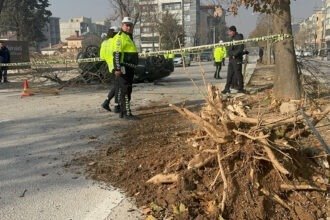 AGACA CARPAN OTOMOBILDEKI 14 YASINDAKI A 1072060 318138