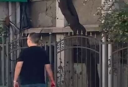 ALACAK TARTISMASINDA IS INSANI BICAKLANA 926557 275217