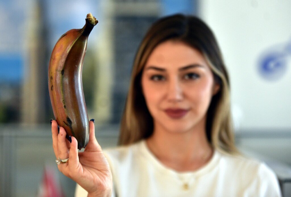 ALANYA MUZUNA 2 YENI TUR EKLENDI PARMA 388091 107631 scaled