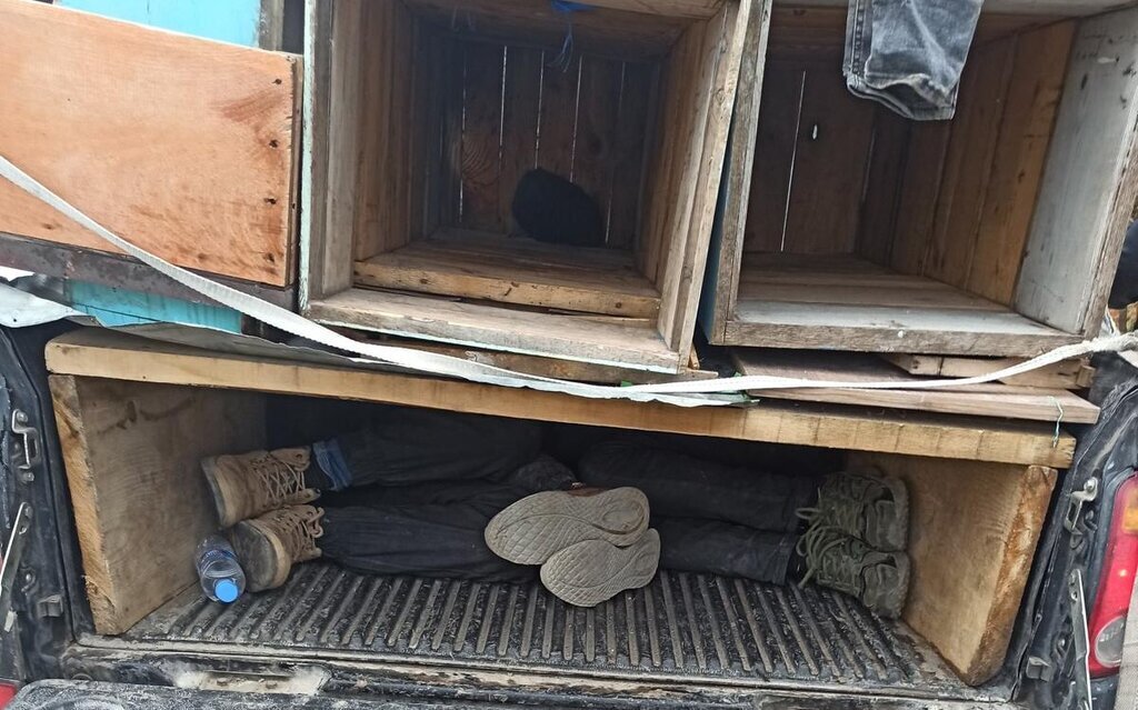 AMASYADA OZEL DUZENEK KURULU ARI KOVANI 428705 126479