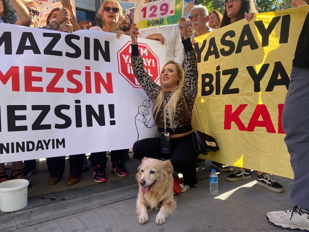 ANKARA HAYVANSEVERLERDEN SOKAK HAYVAN 413580 114951