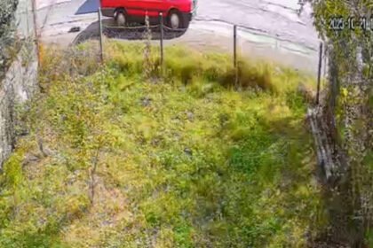 ARACIN ARKASINDA SURUKLENEN KOPEK OLDU 977070 289922