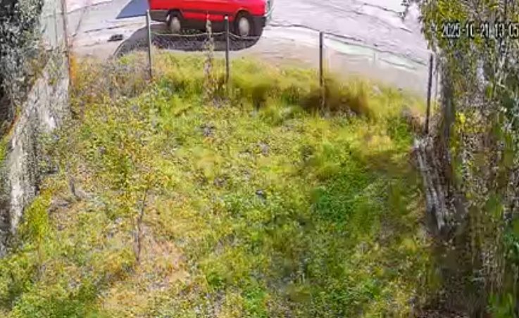 ARACIN ARKASINDA SURUKLENEN KOPEK OLDU 977070 289922