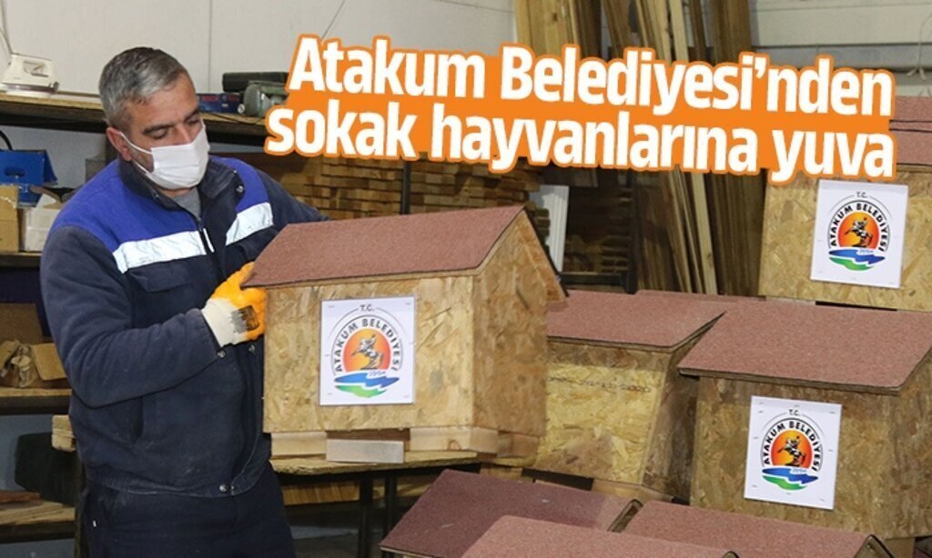 ATAKUM BELEDIYESINDEN SOKAK HAYVANLARINA YUVA 1
