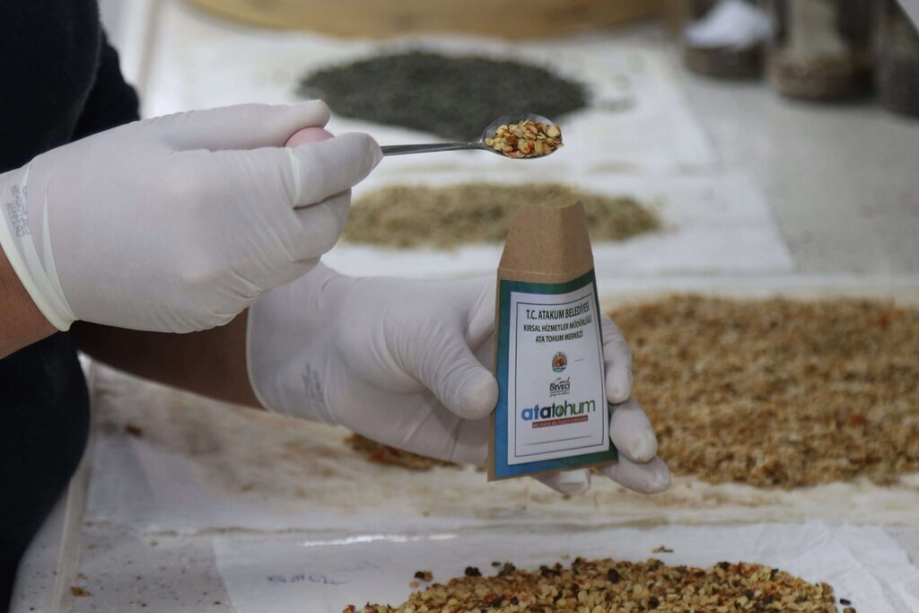 ATAKUM BELEDIYESINDEN URETICIYE ATA TOHUM DESTEGI 4 scaled
