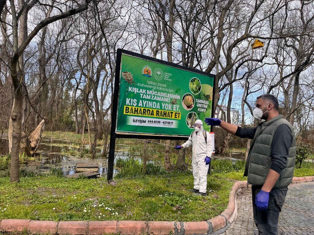 ATAKUM BELEDIYESININ KOKARCA BOCEGI ILE MUCADELE CALISMALARI 10