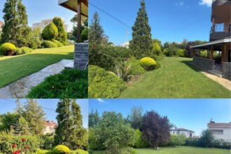 ATAKUMUN PEYZAJ SAMPIYONLARI 8 e1758017451452