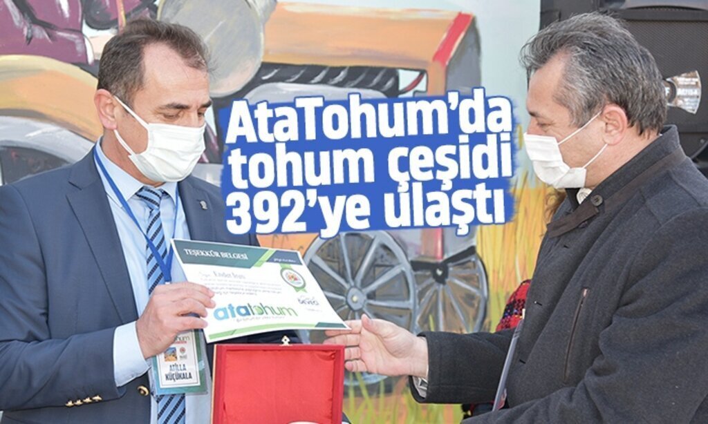 ATATOHUMDA ATALIK TOHUM CESIDI 392YE ULASTI 61
